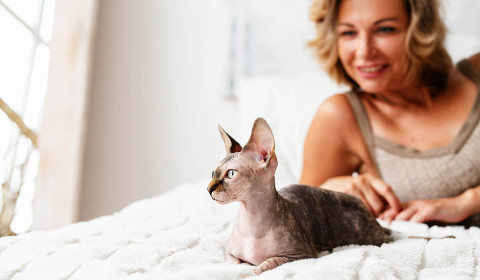 Does Your Indoor Cat Really Need a Rabies Vaccine? What St. Louis Pet Parents Should Know